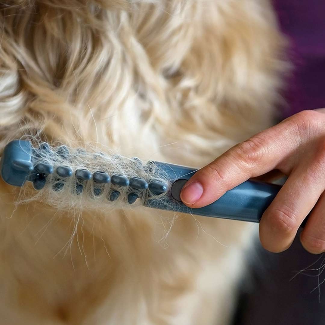 Pettine elettronico per cani e gatti